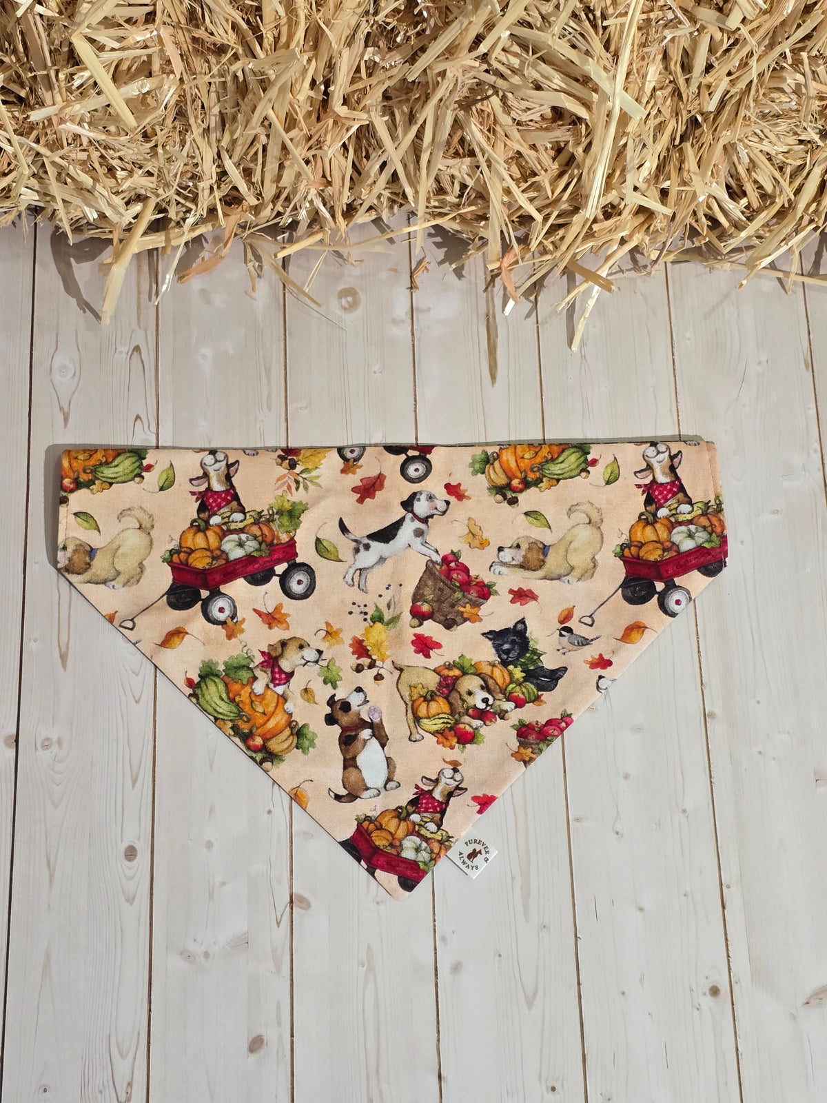 Fall Harvest Dogs and Green Xmas Floral Bandana