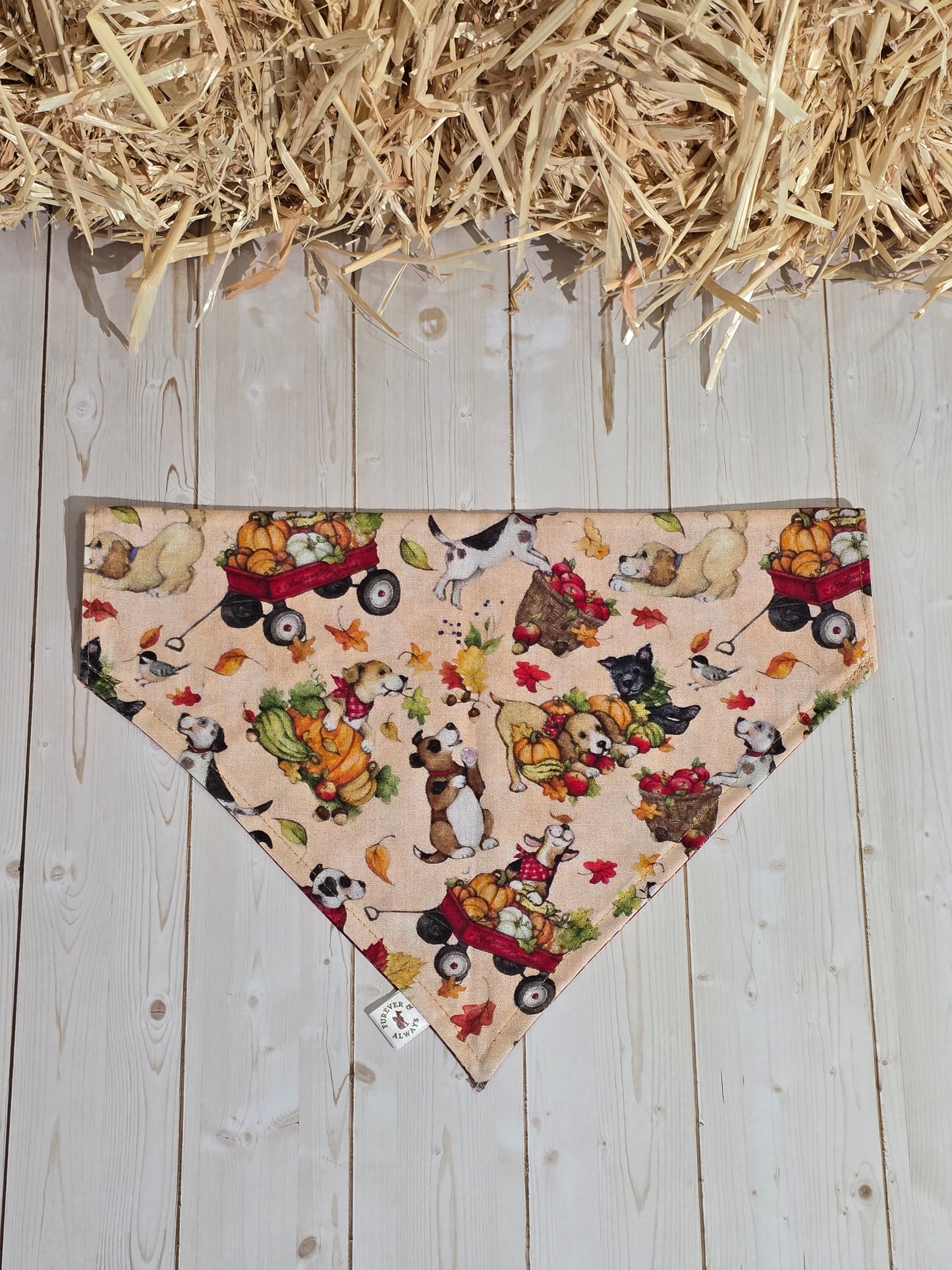 Fall Harvest Dogs and Red Xmas Floral Bandana
