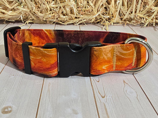Fire Pit Premium Dog Collar
