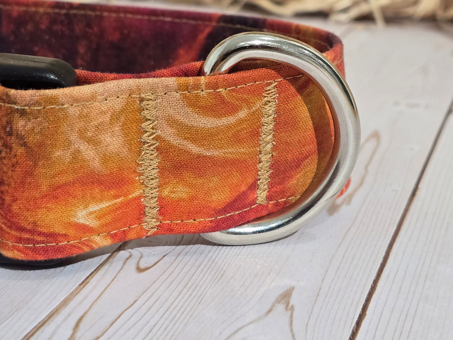 Fire Pit Premium Dog Collar