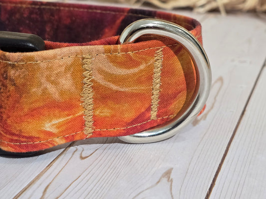 Fire Pit Premium Dog Collar