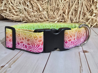 Surfing Delight Premium Dog Collar