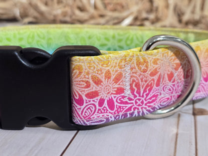 Surfing Delight Premium Dog Collar