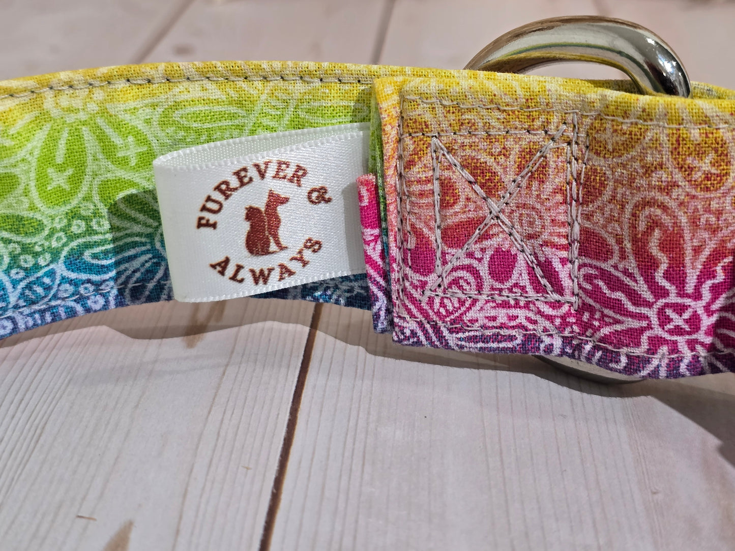 Surfing Delight Premium Dog Collar