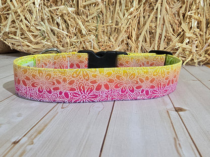 Surfing Delight Premium Dog Collar