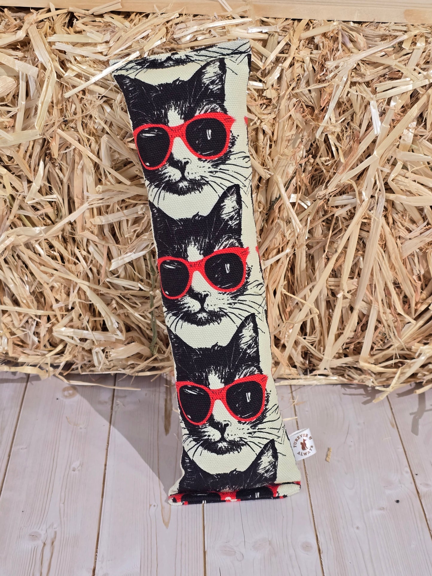 Cool Kitty Cat Kicker