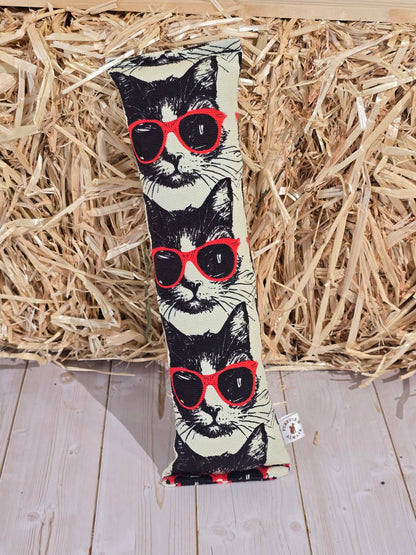 Cool Kitty Cat Kicker