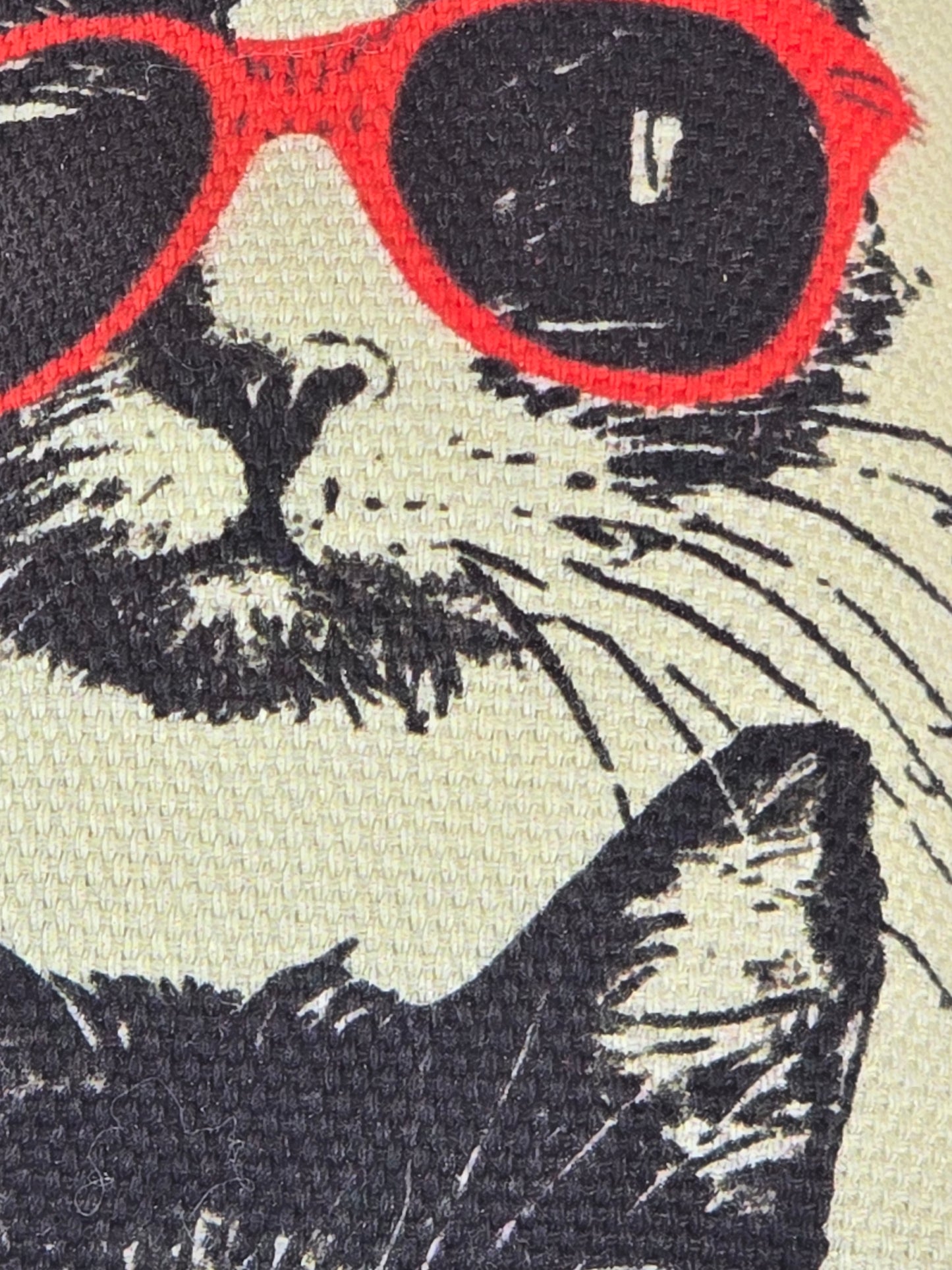 Cool Kitty Cat Kicker