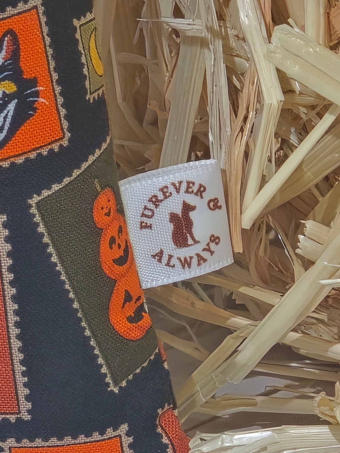 Halloween Medley Cat Kicker