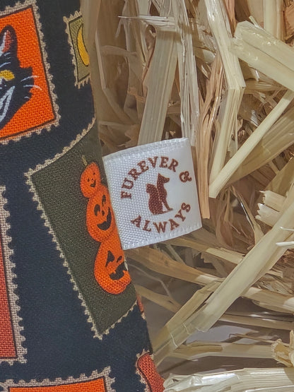 Halloween Medley Cat Kicker