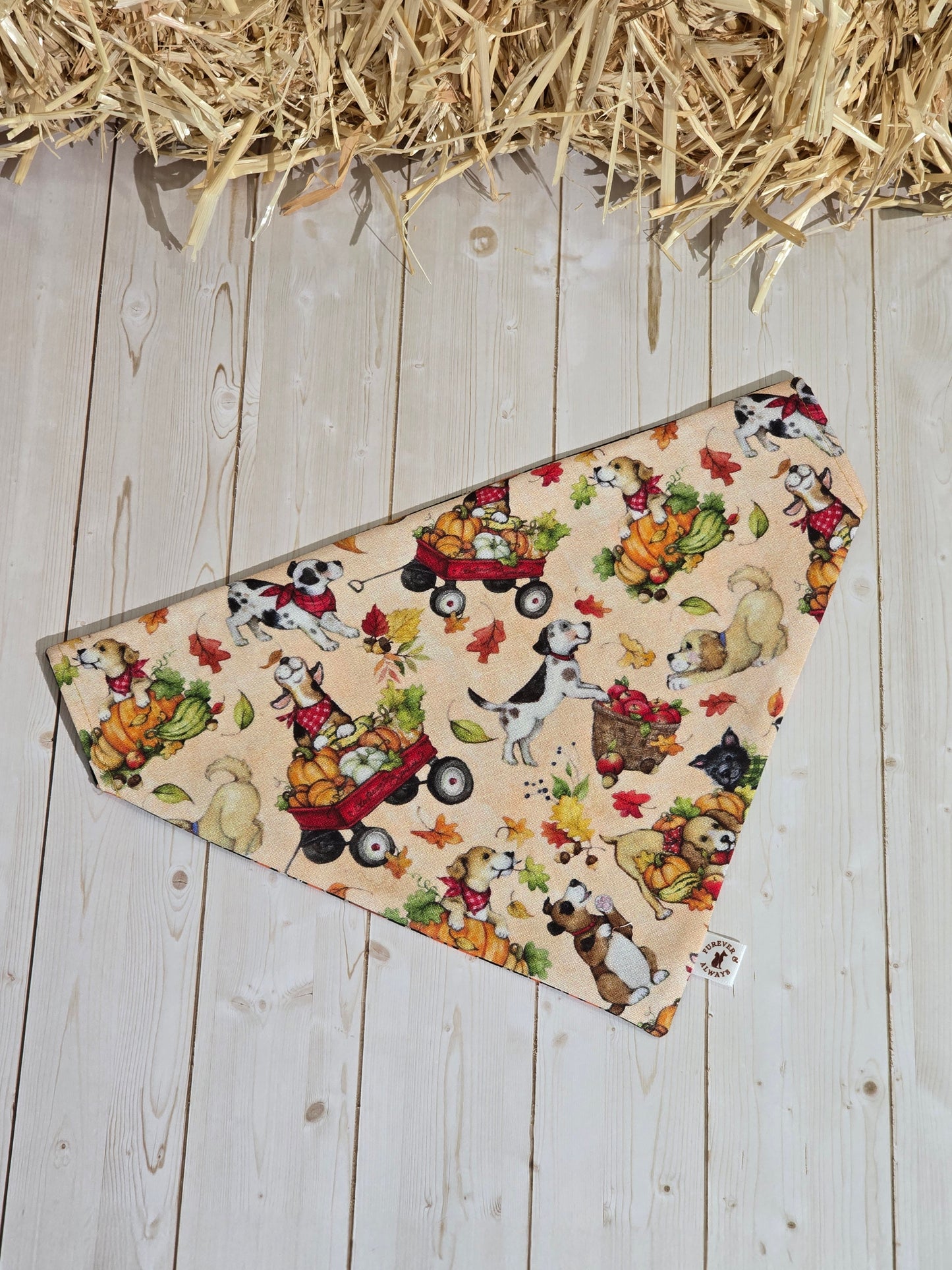 Halloween Medley & Fall Harvest Dogs Bandana