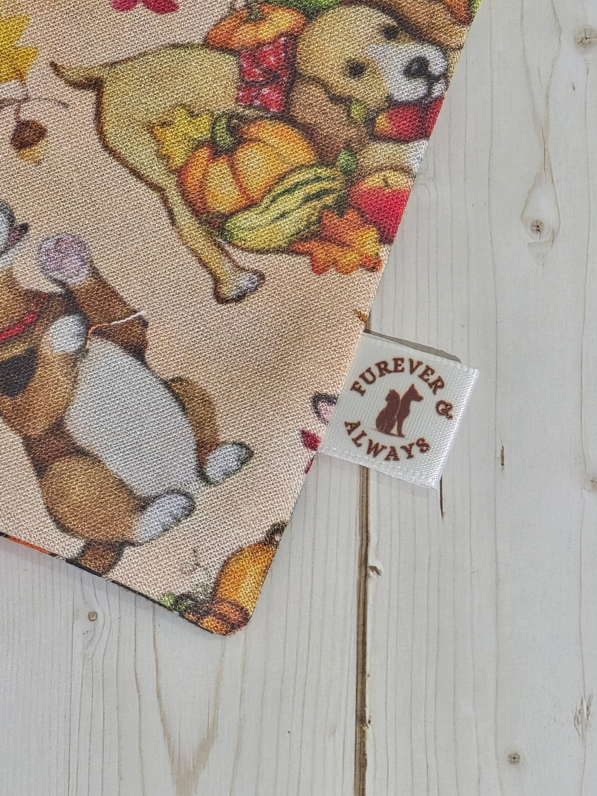 Halloween Medley & Fall Harvest Dogs Bandana