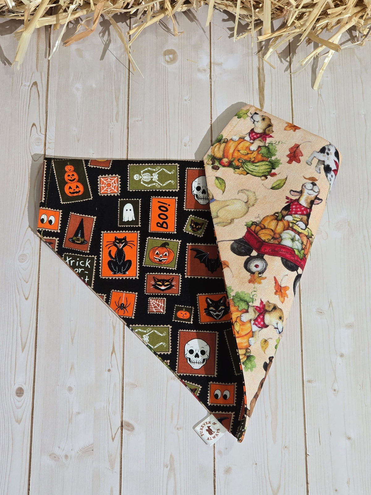 Halloween Medley & Fall Harvest Dogs Bandana