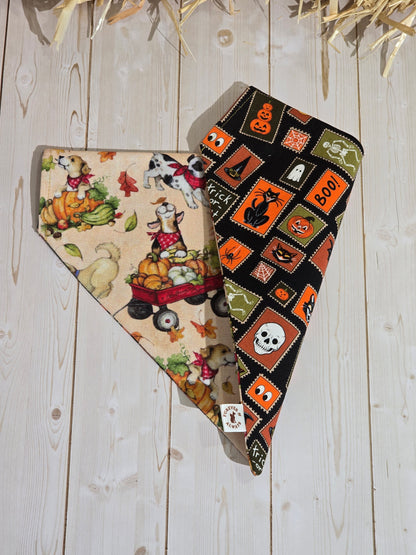 Halloween Medley & Fall Harvest Dogs Bandana