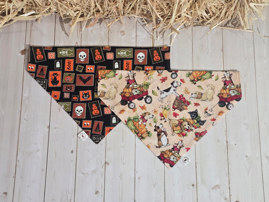 Halloween Medley & Fall Harvest Dogs Bandana