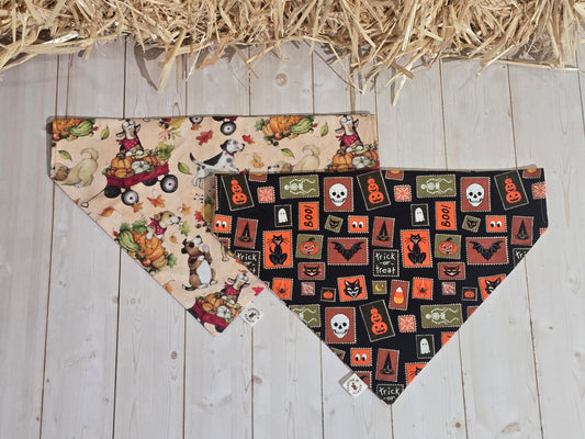 Halloween Medley & Fall Harvest Dogs Bandana