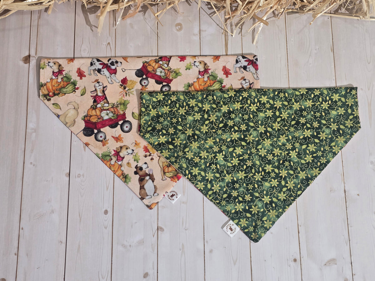 Fall Harvest Dogs and Green Xmas Floral Bandana