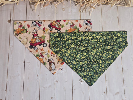 Fall Harvest Dogs and Green Xmas Floral Bandana