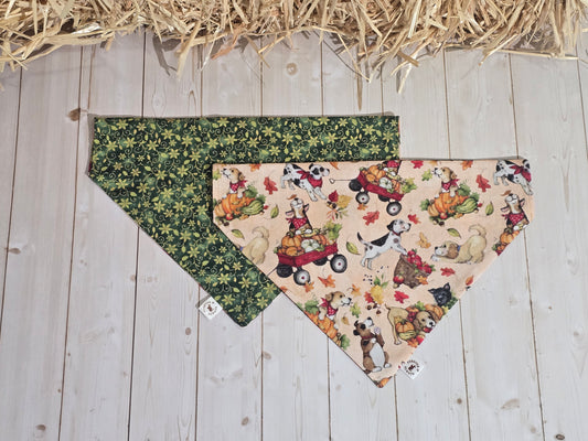 Fall Harvest Dogs and Green Xmas Floral Bandana
