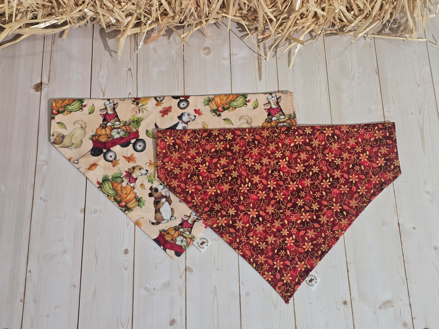 Fall Harvest Dogs and Red Xmas Floral Bandana