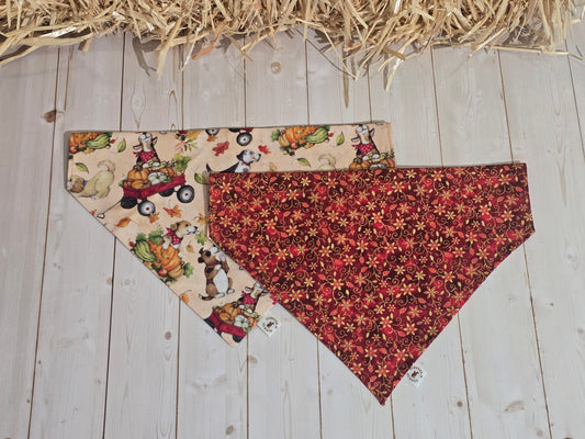 Fall Harvest Dogs and Red Xmas Floral Bandana