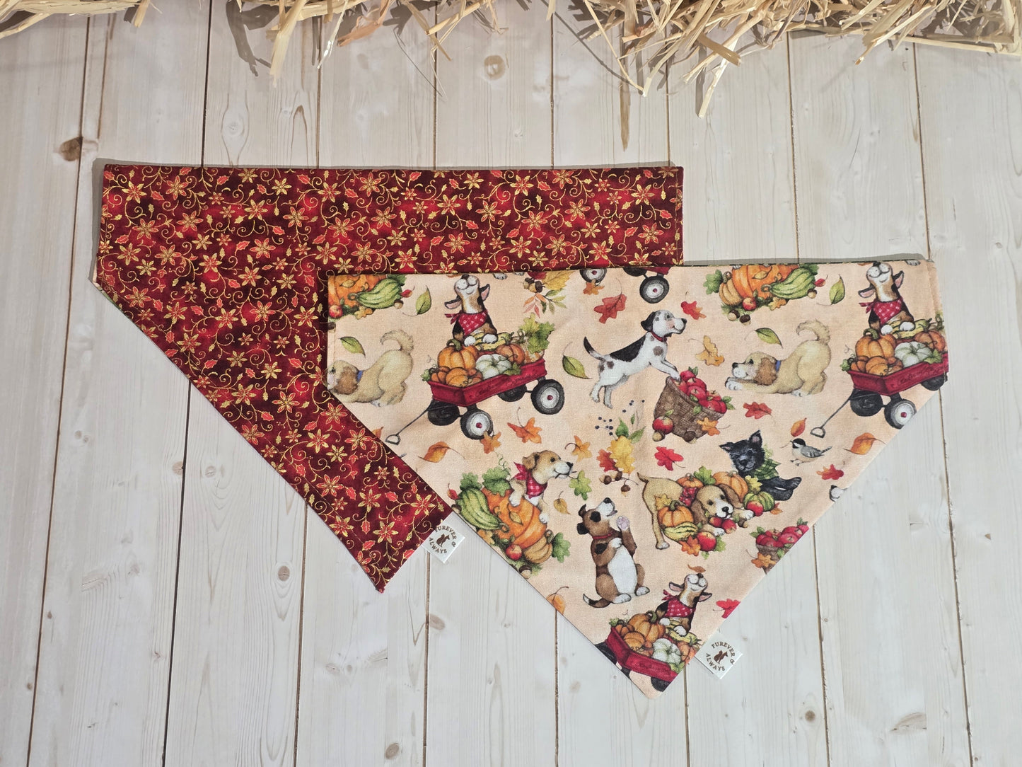 Fall Harvest Dogs and Red Xmas Floral Bandana