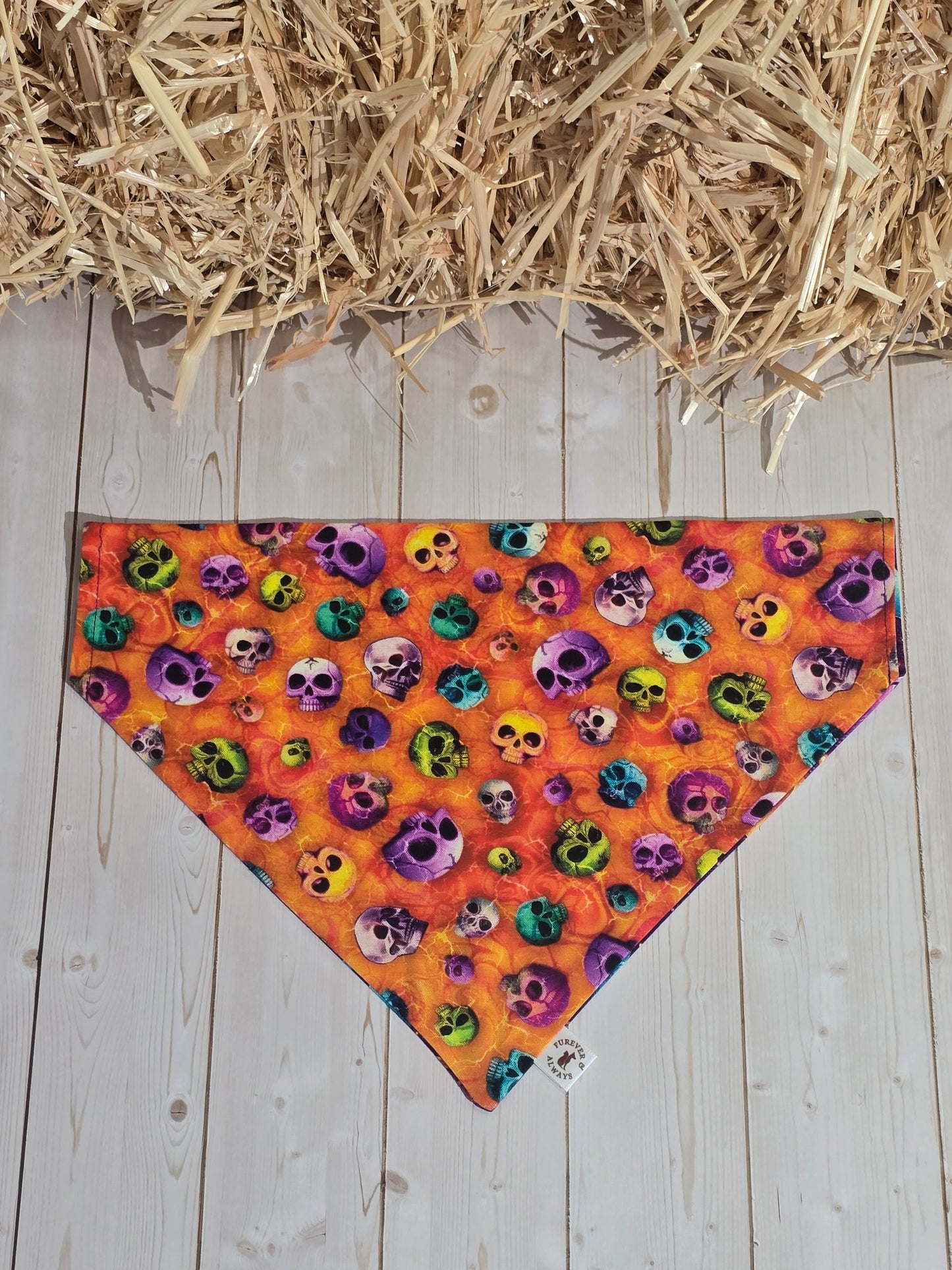 Halloween Skulls & Ghosts Dogs Bandana