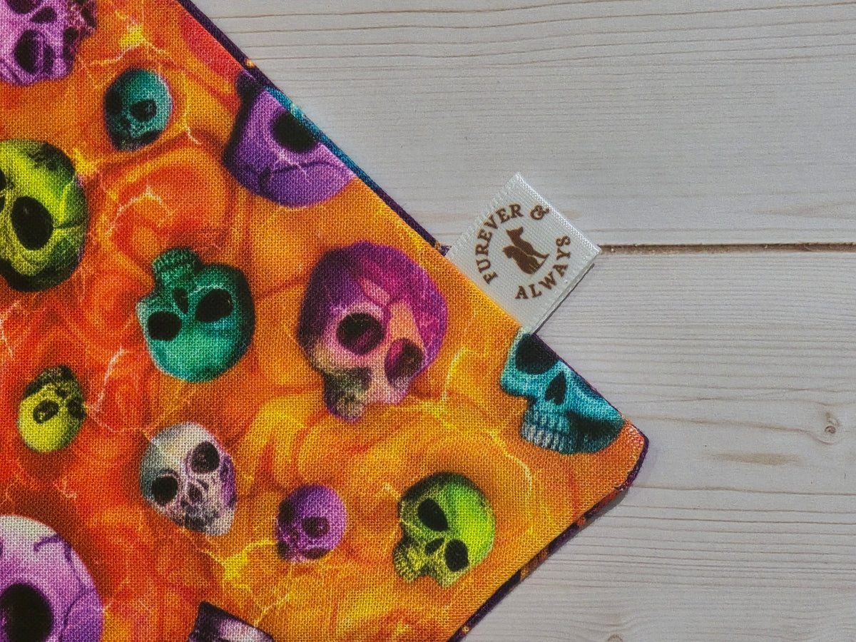 Halloween Skulls & Ghosts Dogs Bandana