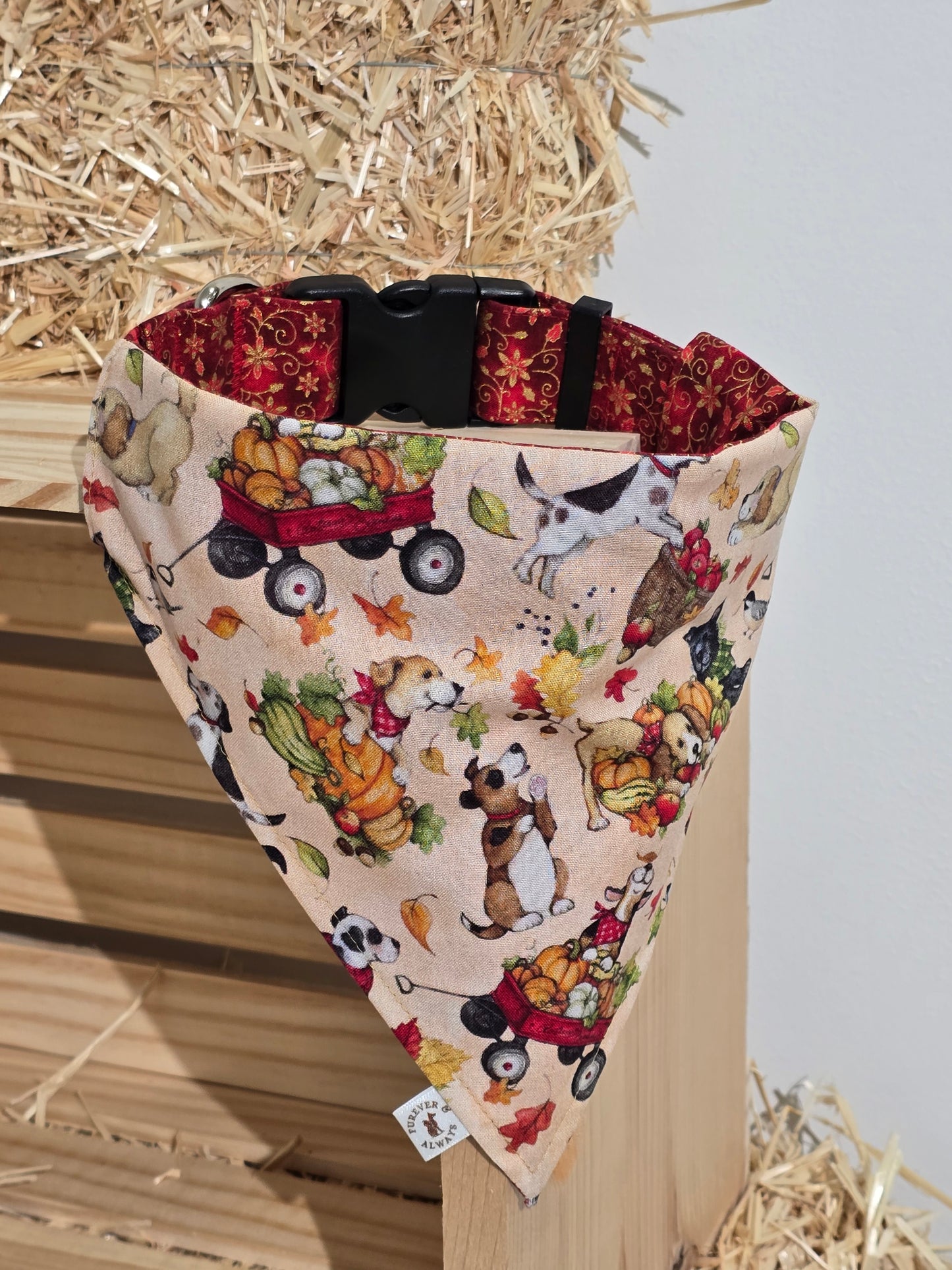 Halloween Medley & Fall Harvest Dogs Bandana