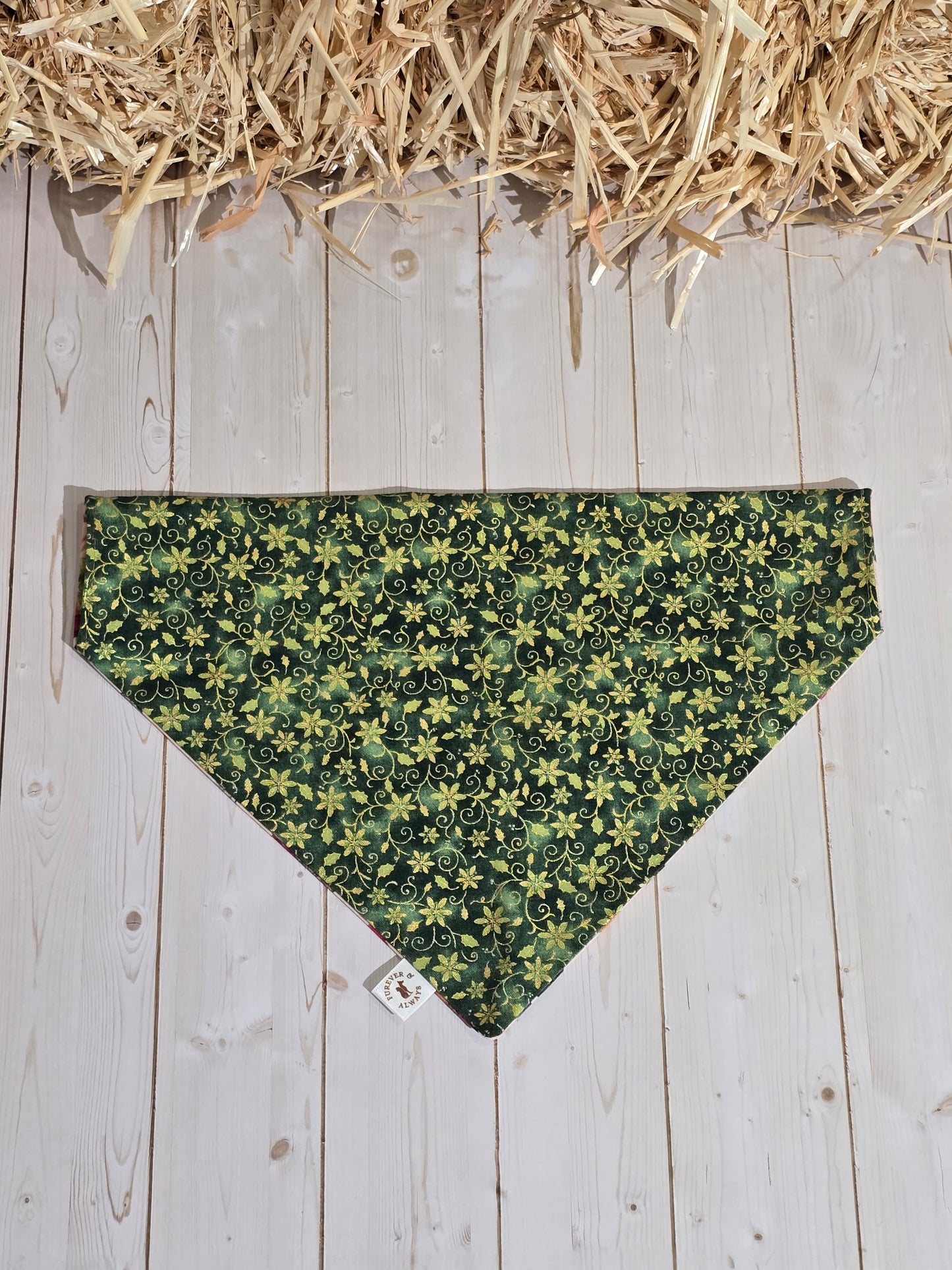 Fall Harvest Dogs and Green Xmas Floral Bandana