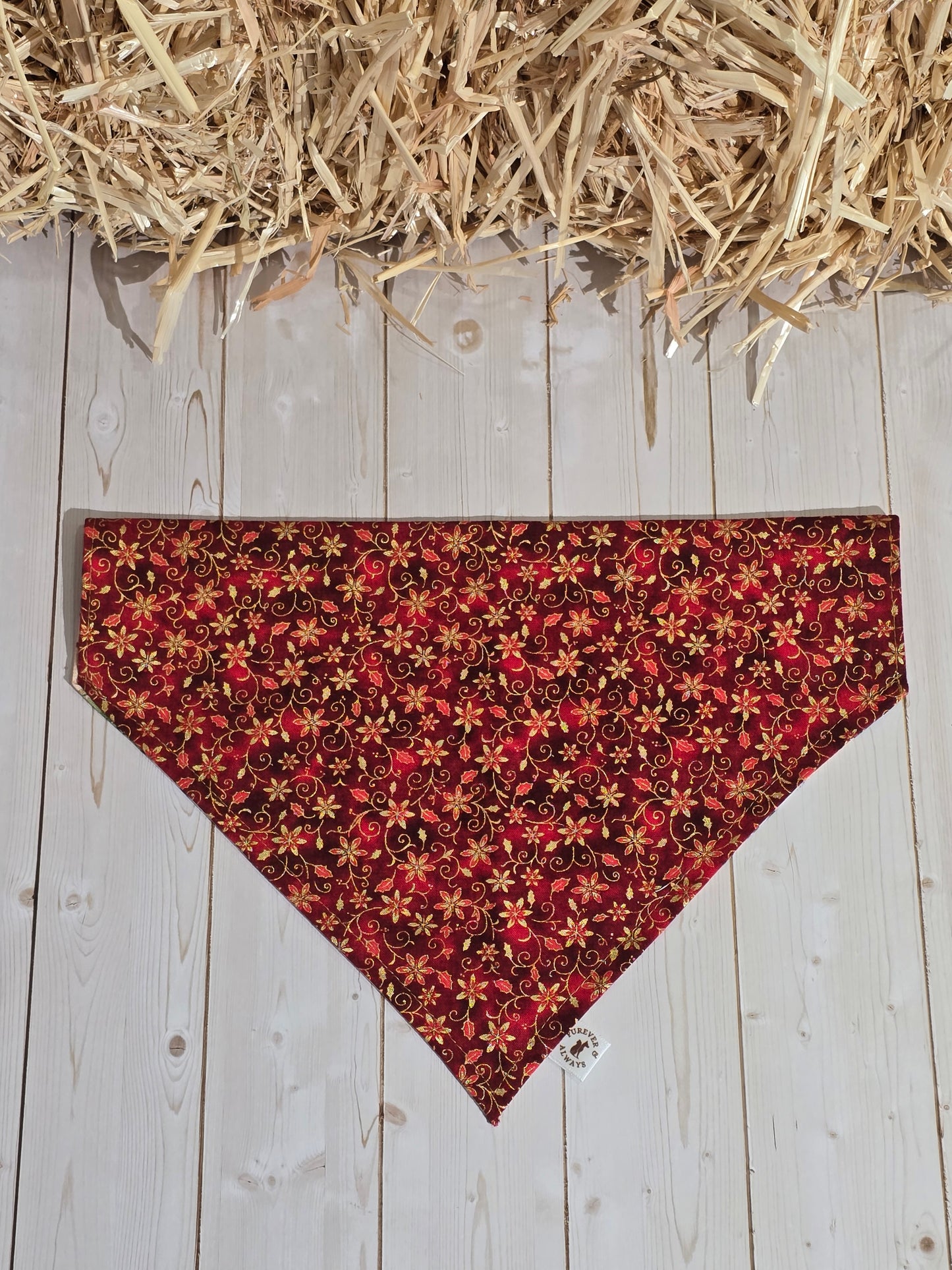 Fall Harvest Dogs and Red Xmas Floral Bandana