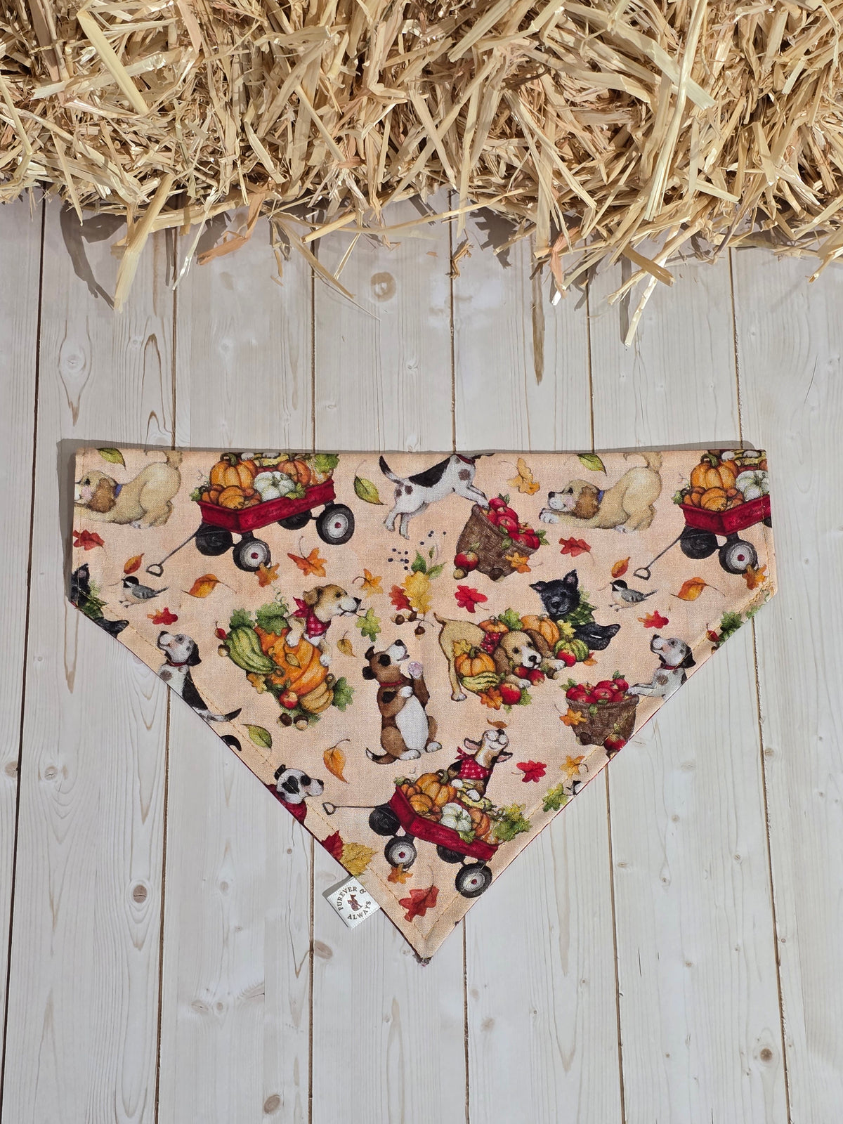 Fall Harvest Dogs and Red Xmas Floral Bandana